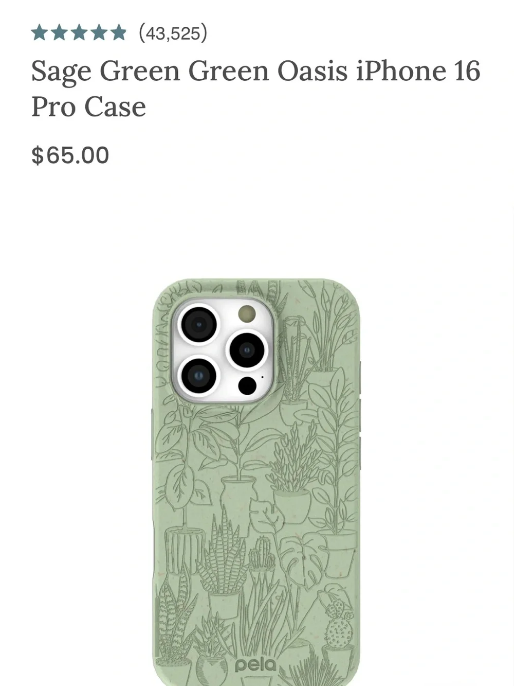 NWOT Pela Sage Green Oasis Mint Green Plant-Relief iPhone 16 Pro Case fits 17
